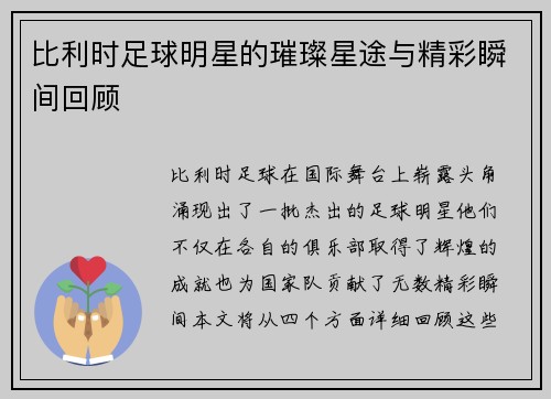 比利时足球明星的璀璨星途与精彩瞬间回顾