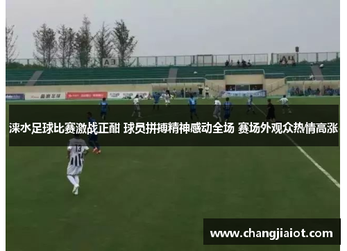 涞水足球比赛激战正酣 球员拼搏精神感动全场 赛场外观众热情高涨